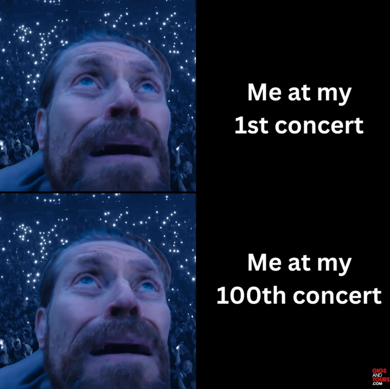 Me at my 1st concert Me at my 100th concert GIGS AND TOURS .COM