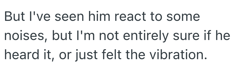 But I've seen him react to some noises, but I'm not entirely sure if he heard it, or just felt the vibration.