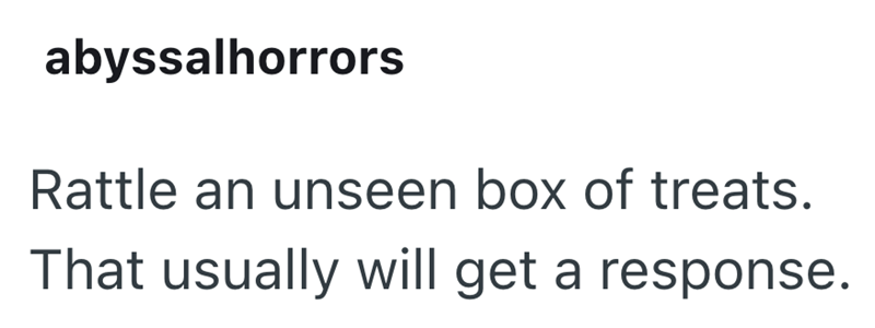abyssalhorrors Rattle an unseen box of treats. That usually will get a response.