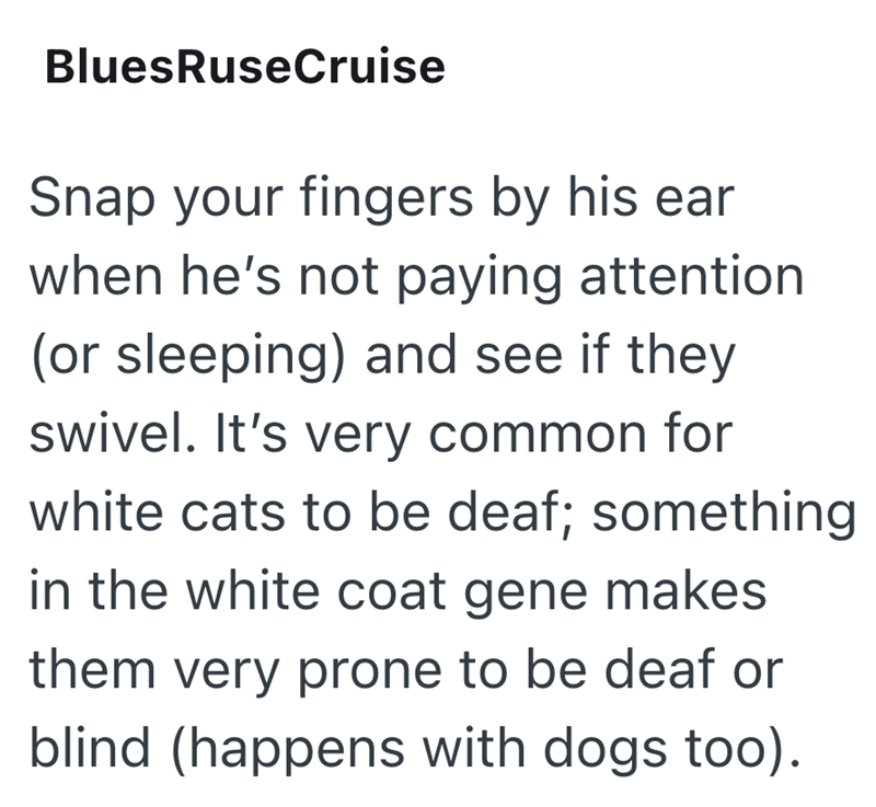 BluesRuseCruise Snap your fingers by his ear when he's not paying attention (or sleeping) and see if they swivel. It's very common for white cats to be deaf; something in the white coat gene makes them very prone to be deaf or blind (happens with dogs too).