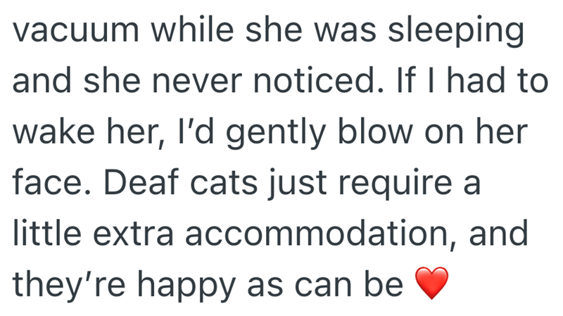 vacuum while she was sleeping and she never noticed. If I had to wake her, I'd gently blow on her face. Deaf cats just require a little extra accommodation, and they're happy as can be