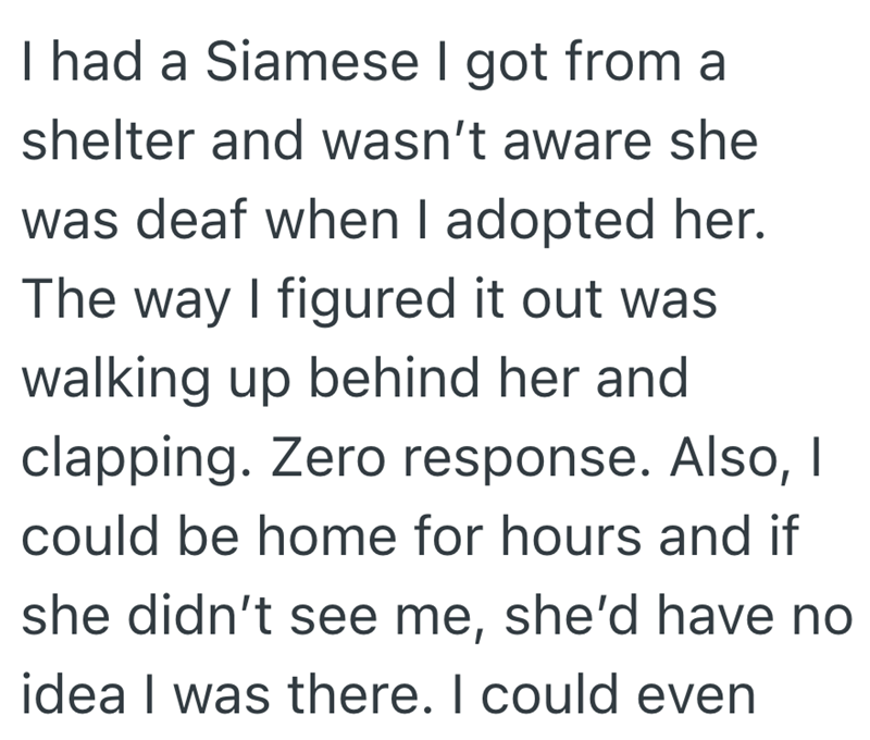I had a Siamese I got from a shelter and wasn't aware she was deaf when I adopted her. The way I figured it out was walking up behind her and clapping. Zero response. Also, I could be home for hours and if she didn't see me, she'd have no idea I was there. I could even