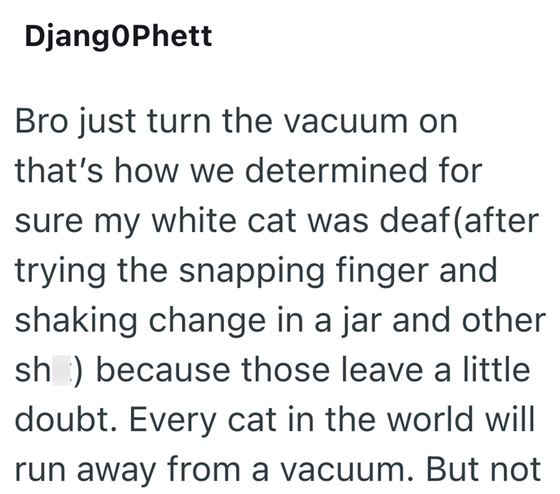 DjangoPhett Bro just turn the vacuum on that's how we determined for sure my white cat was deaf (after trying the snapping finger and shaking change in a jar and other sh) because those leave a little doubt. Every cat in the world will run away from a vacuum. But not