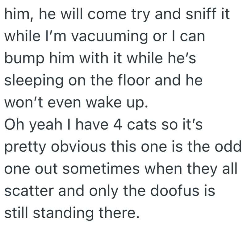 him, he will come try and sniff it while I'm vacuuming or I can bump him with it while he's sleeping on the floor and he won't even wake up. Oh yeah I have 4 cats so it's pretty obvious this one is the odd one out sometimes when they all scatter and only the doofus is still standing there.