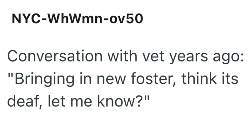 NYC-WhWmn-ov50 Conversation with vet years ago: "Bringing in new foster, think its deaf, let me know?"
