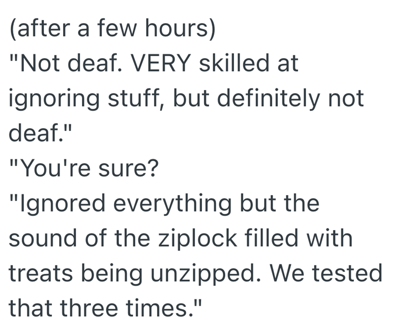 (after a few hours) "Not deaf. VERY skilled at ignoring stuff, but definitely not deaf." "You're sure? "Ignored everything but the sound of the ziplock filled with treats being unzipped. We tested that three times."