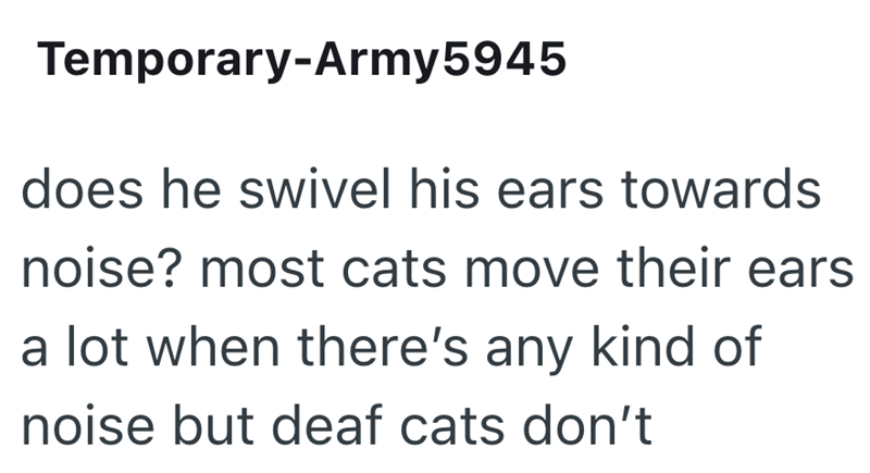 Temporary-Army5945 does he swivel his ears towards noise? most cats move their ears a lot when there's any kind of noise but deaf cats don't