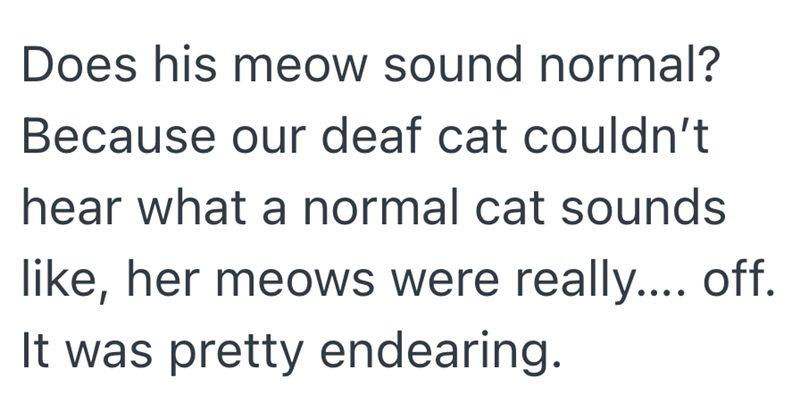 Does his meow sound normal? Because our deaf cat couldn't hear what a normal cat sounds like, her meows were really.... off. It was pretty endearing.