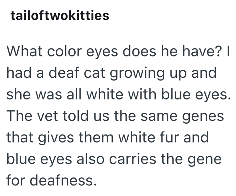 tailoftwokitties What color eyes does he have? I had a deaf cat growing up and she was all white with blue eyes. The vet told us the same genes that gives them white fur and blue eyes also carries the gene for deafness.