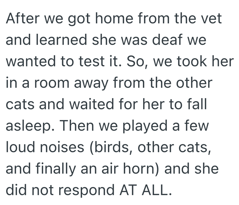After we got home from the vet and learned she was deaf we wanted to test it. So, we took her in a room away from the other cats and waited for her to fall asleep. Then we played a few loud noises (birds, other cats, and finally an air horn) and she did not respond AT ALL.