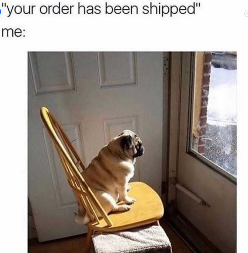 + "your order has been shipped" me: