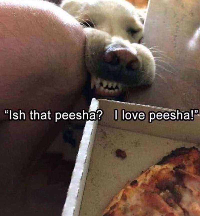 "Ish that peesha? I love peesha!"