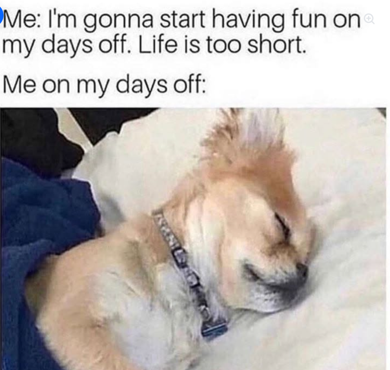 Me: I'm gonna start having fun on my days off. Life is too short. Me on my days off: ARANTES DE