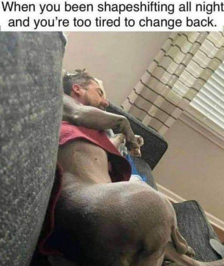 When you been shapeshifting all night and you're too tired to change back.