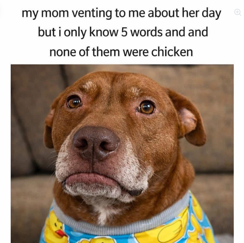 my mom venting to me about her day but i only know 5 words and and none of them were chicken