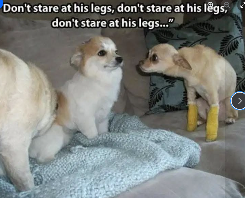 Don't stare at his legs, don't stare at his legs, don't stare at his legs..."