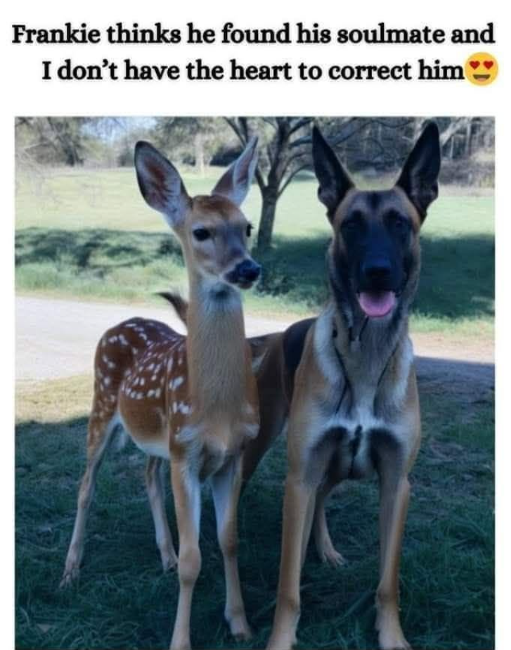 Frankie thinks he found his soulmate and I don't have the heart to correct him