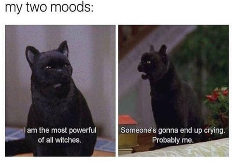 my two moods: I am the most powerful of all witches. Someone's gonna end up crying. Probably me.