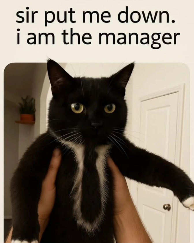 sir put me down. i am the manager
