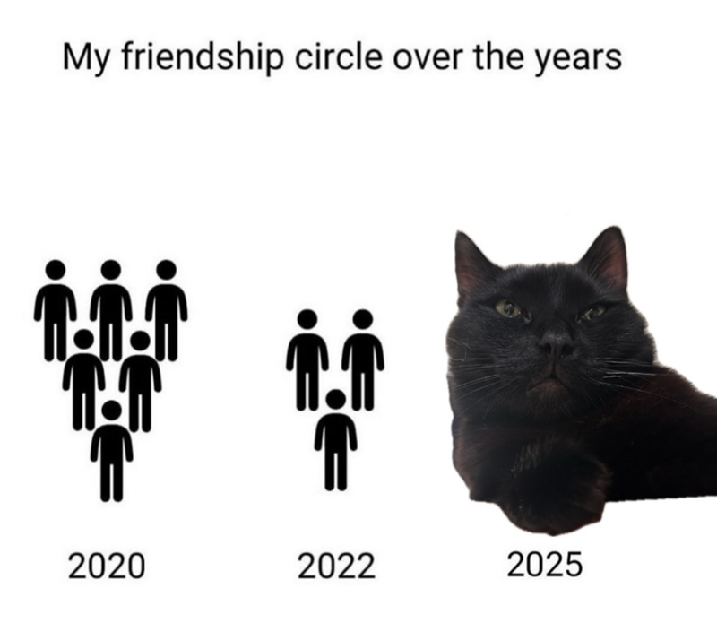 My friendship circle over the years iii 2020 2022 2025