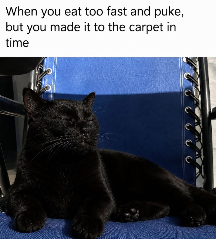 When you eat too fast and puke, but you made it to the carpet in time