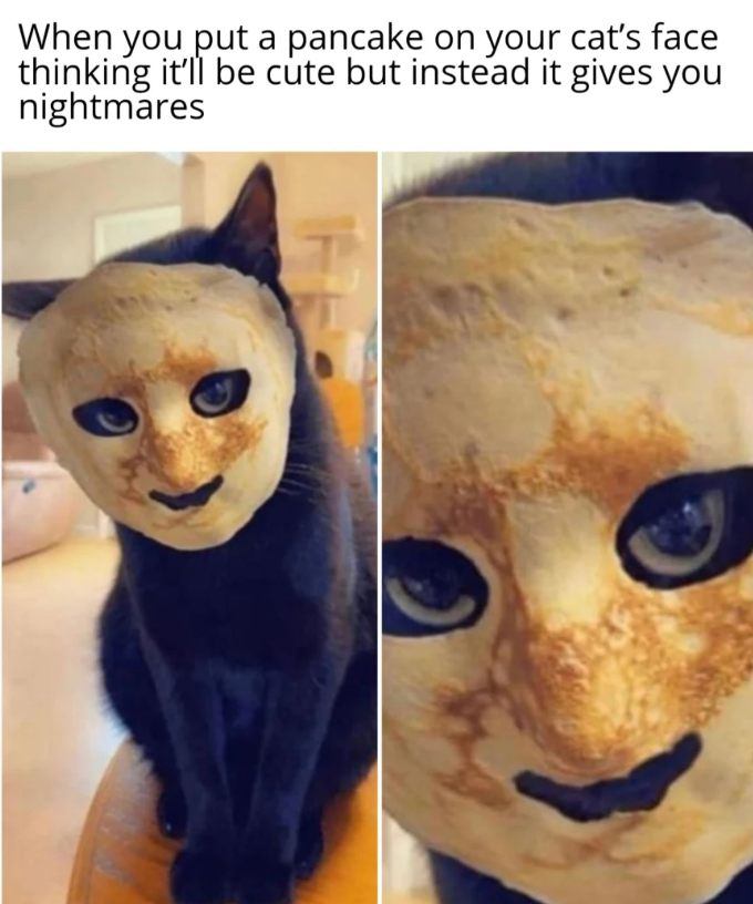 When you put a pancake on your cat's face thinking it'll be cute but instead it gives you nightmares