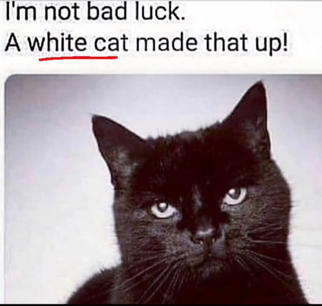 I'm not bad luck. A white cat made that up!