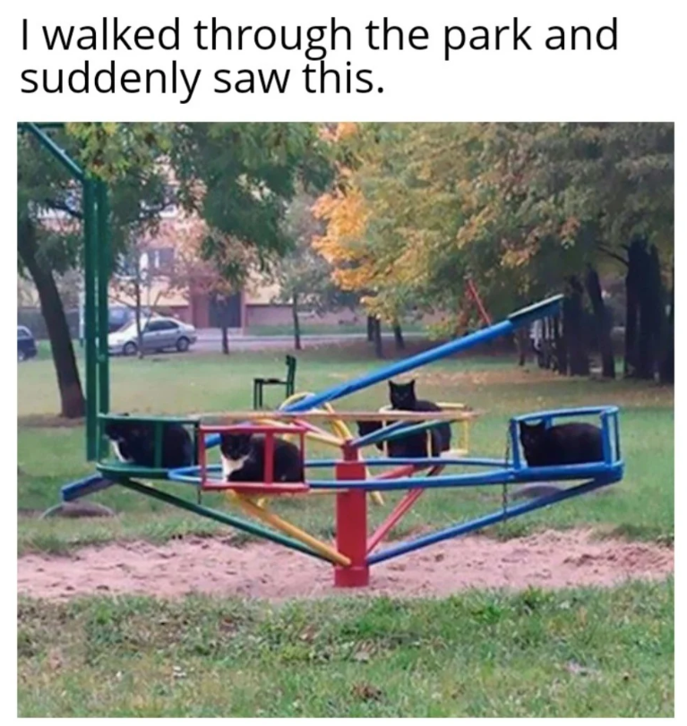 I walked through the park and suddenly saw this.