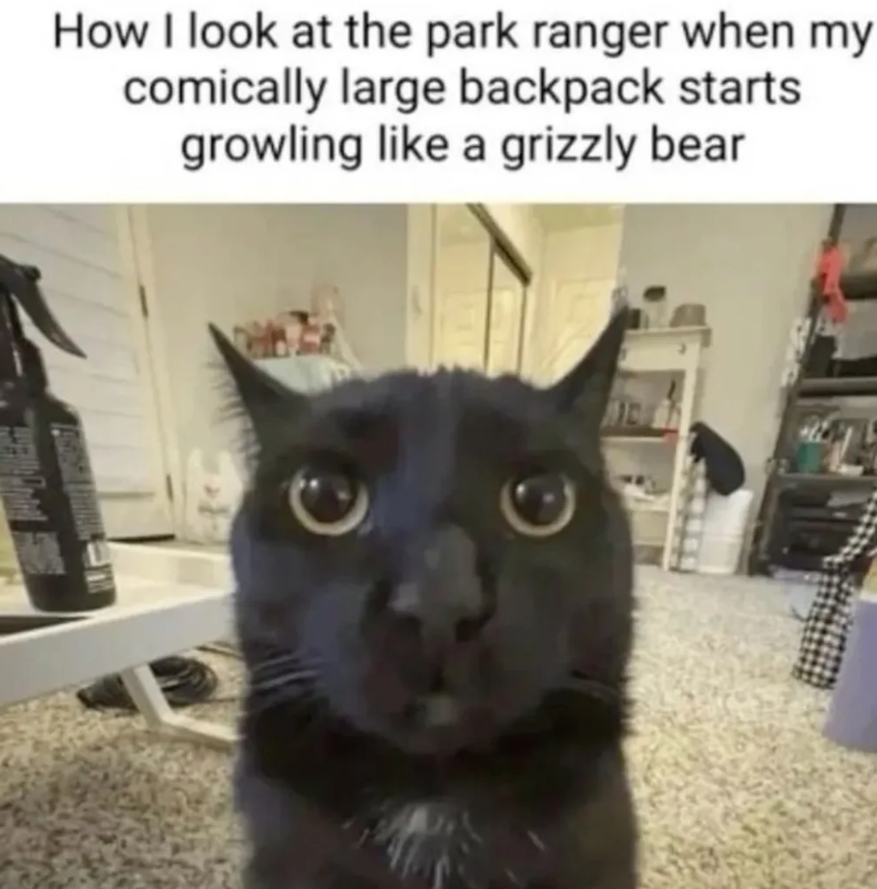 How I look at the park ranger when my comically large backpack starts growling like a grizzly bear