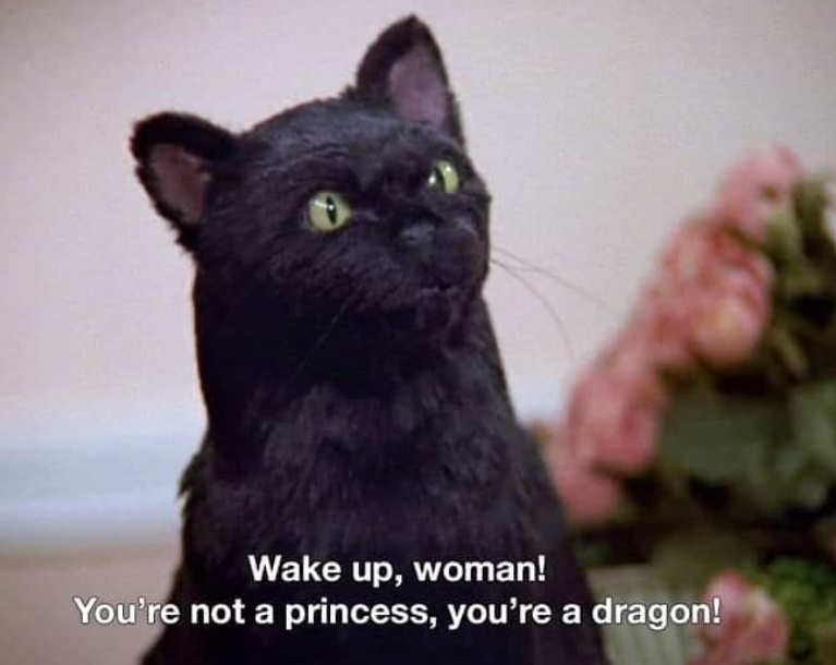 Wake up, woman! You're not a princess, you're a dragon!
