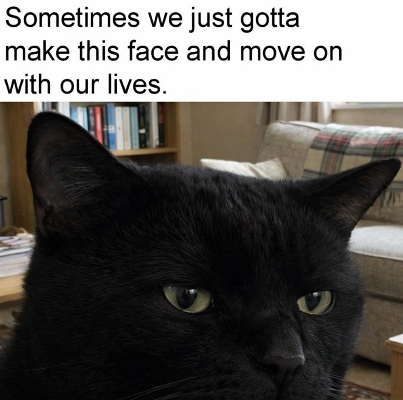 Sometimes we just gotta make this face and move on with our lives.