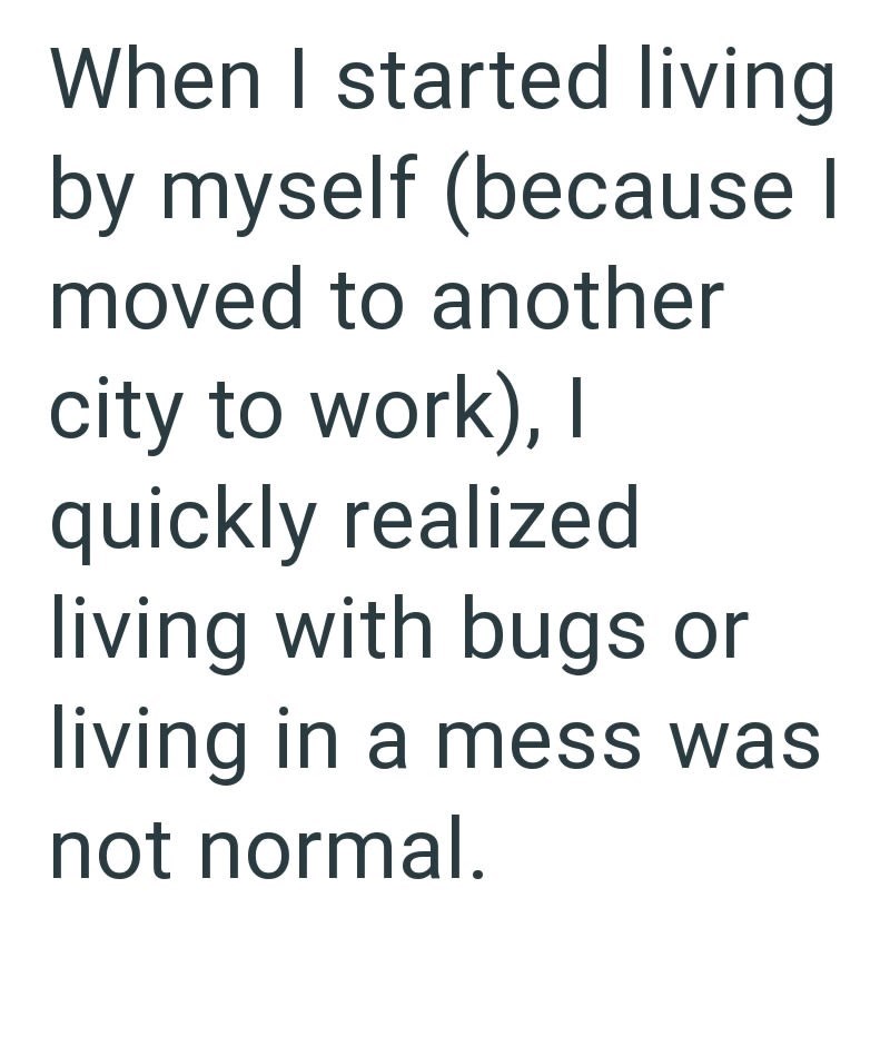When I started living by myself (because I moved to another city to work), I quickly realized living with bugs or living in a mess was not normal.