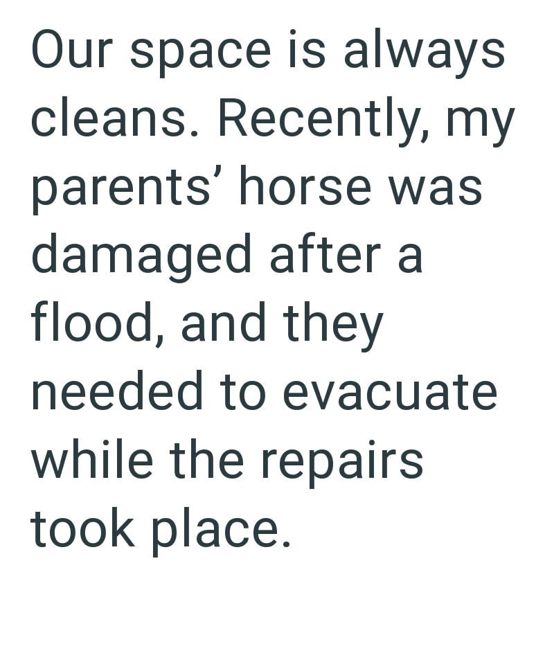 Our space is always cleans. Recently, my parents' horse was damaged after a flood, and they needed to evacuate while the repairs took place.