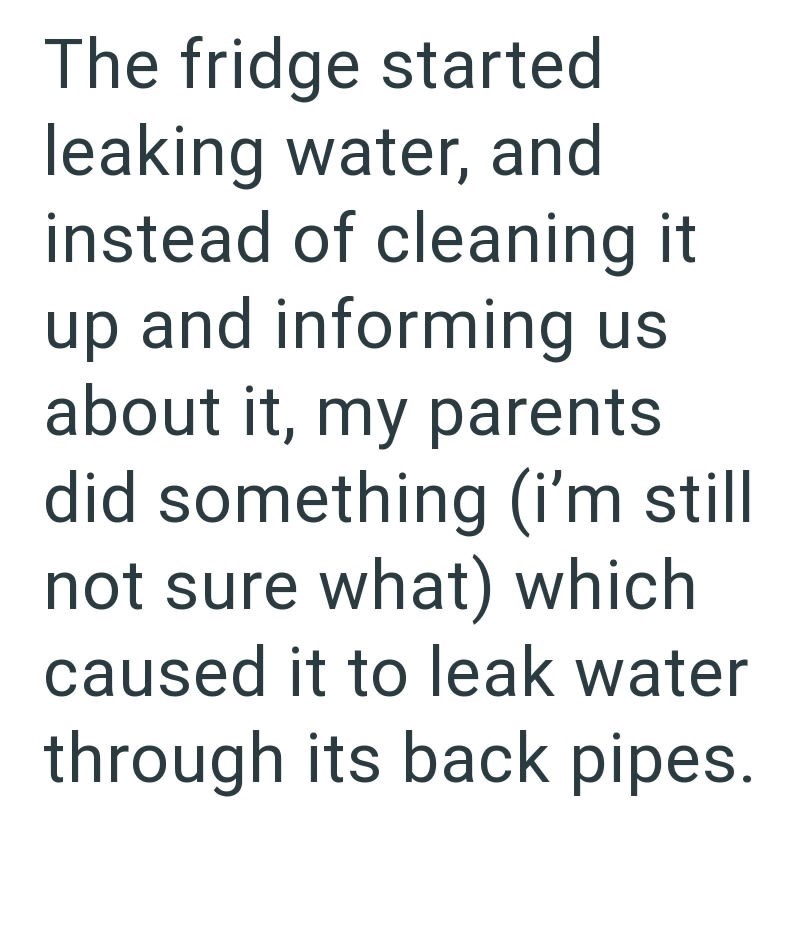 The fridge started leaking water, and instead of cleaning it up and informing us about it, my parents did something (i'm still not sure what) which caused it to leak water through its back pipes.