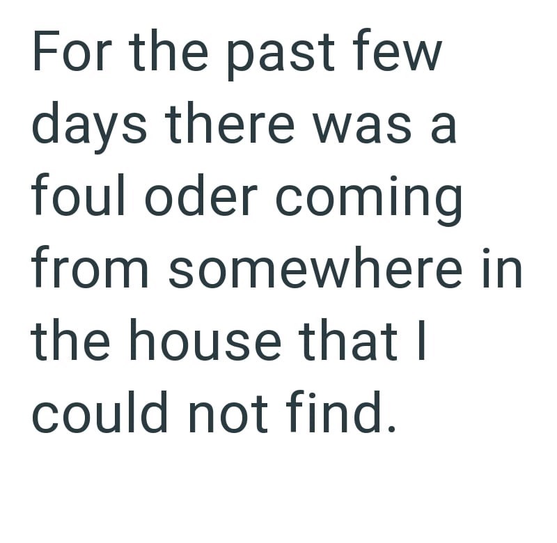 For the past few days there was a foul oder coming from somewhere in the house that I could not find.