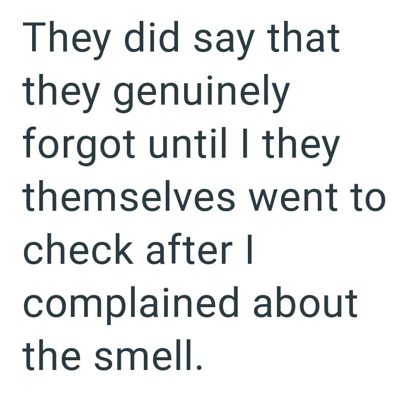 They did say that they genuinely forgot until I they themselves went to check after I complained about the smell.