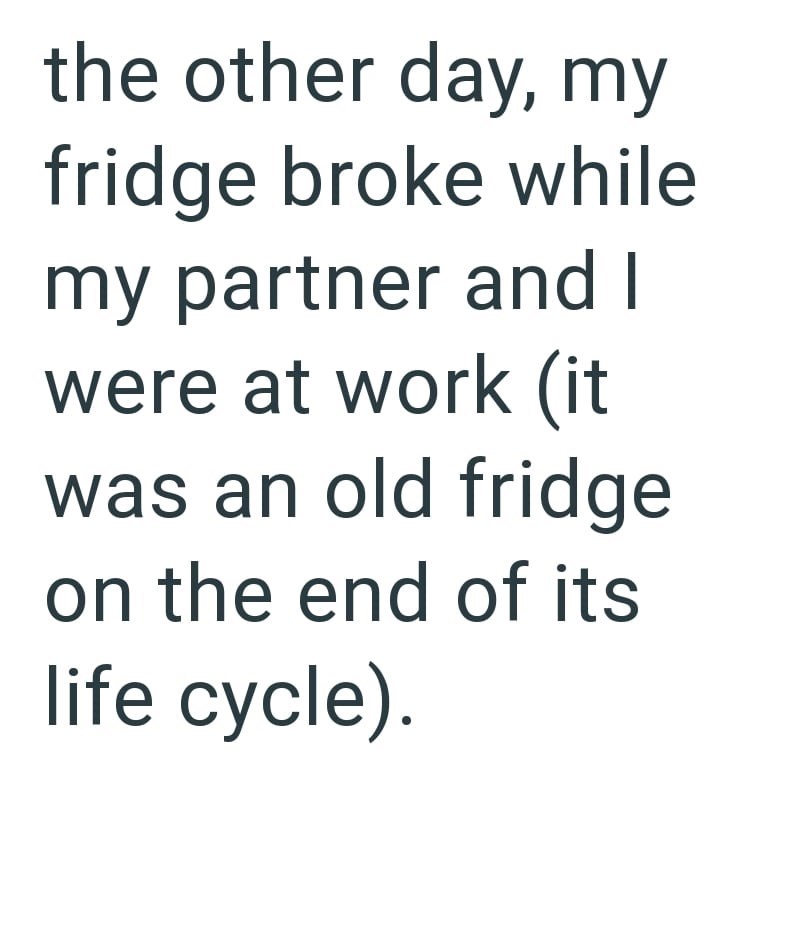the other day, my fridge broke while my partner and I were at work (it was an old fridge on the end of its life cycle).