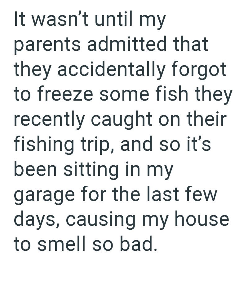 It wasn't until my parents admitted that they accidentally forgot to freeze some fish they recently caught on their fishing trip, and so it's been sitting in my garage for the last few days, causing my house to smell so bad.