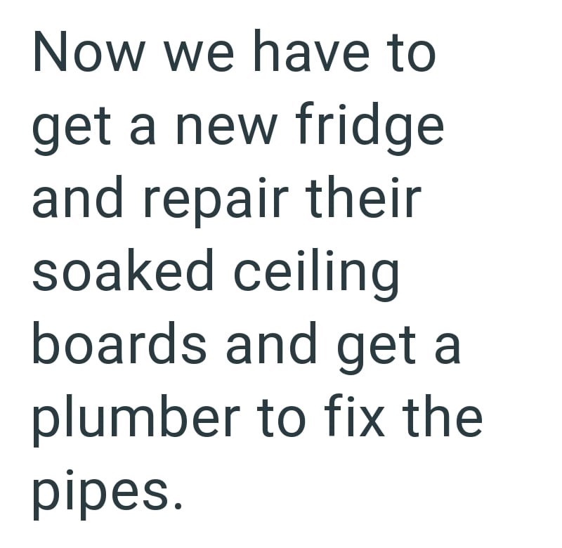 Now we have to get a new fridge and repair their soaked ceiling boards and get a plumber to fix the pipes.