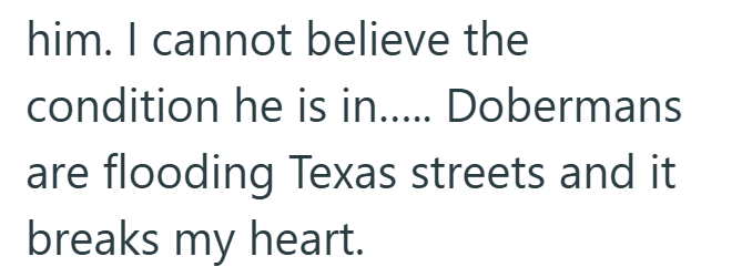 him. I cannot believe the condition he is in..... Dobermans are flooding Texas streets and it breaks my heart.