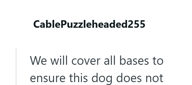 CablePuzzleheaded255 We will cover all bases to ensure this dog does not
