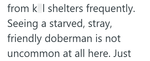 from k | shelters frequently. Seeing a starved, stray, friendly doberman is not uncommon at all here. Just