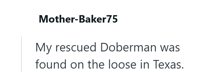 Mother-Baker75 My rescued Doberman was found on the loose in Texas.