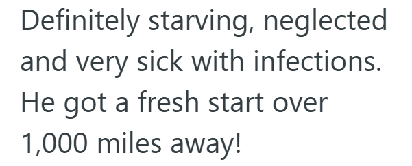 Definitely starving, neglected and very sick with infections. He got a fresh start over 1,000 miles away!