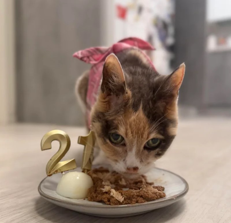 21