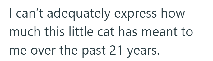 I can't adequately express how much this little cat has meant to me over the past 21 years.