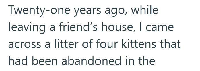 Twenty-one years ago, while leaving a friend's house, I came across a litter of four kittens that had been abandoned in the