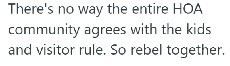 There's no way the entire HOA community agrees with the kids and visitor rule. So rebel together.