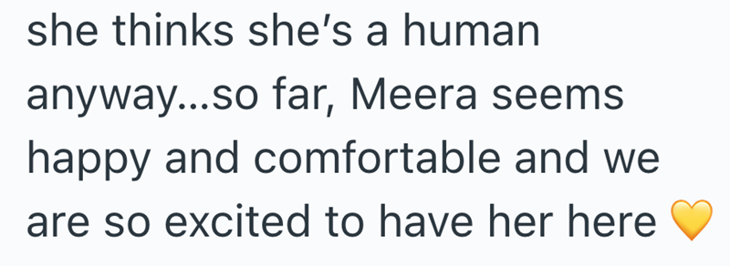 she thinks she's a human anyway...so far, Meera seems happy and comfortable and we are so excited to have her here