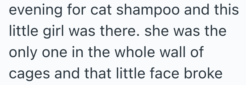 evening for cat shampoo and this little girl was there. she was the only one in the whole wall of cages and that little face broke